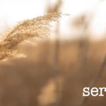 Sere d’autunno
