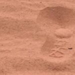 Intensivo Mindfulness 31 maggio, 1-2 giugno 2024