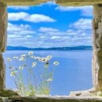 Mindfulness a Analisi Transazionale – 4 marzo – 22 aprile 2025